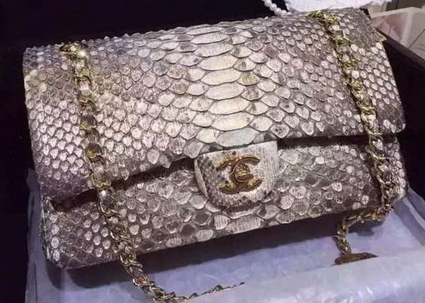 Chanel 2.55 Series Flap Bags Gray Original Python Leather A1112SA Gold