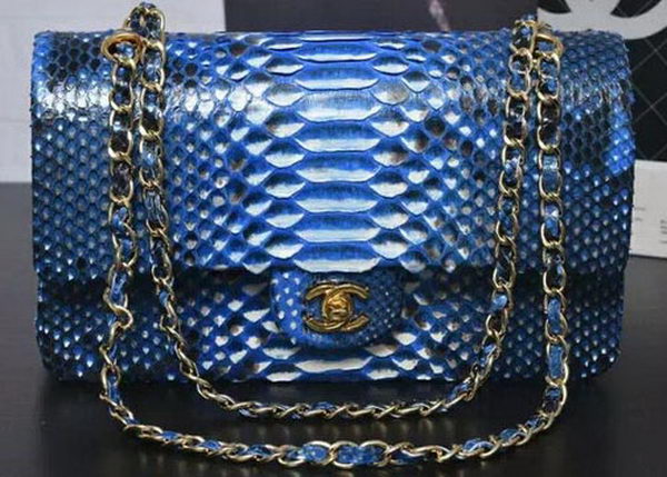 Chanel 2.55 Series Flap Bags Light Blue Original Python Leather A1112SA Gold