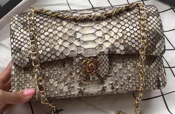 Chanel 2.55 Series Flap Bags OffWhite Original Python Leather A1112SA Gold