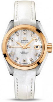Omega Seamaster Aqua Terra Automatic Watch 158590E
