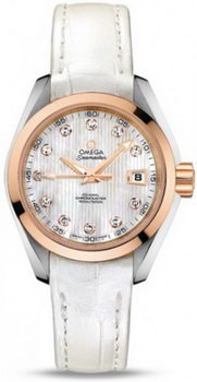 Omega Seamaster Aqua Terra Automatic Watch 158590F
