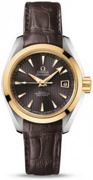 Omega Seamaster Aqua Terra Automatic Watch 158590G