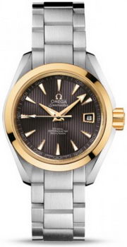 Omega Seamaster Aqua Terra Automatic Watch 158590M