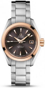 Omega Seamaster Aqua Terra Automatic Watch 158590N