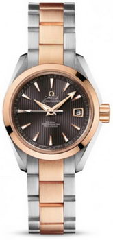 Omega Seamaster Aqua Terra Automatic Watch 158590O