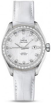 Omega Seamaster Aqua Terra Automatic Watch 158590P