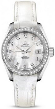 Omega Seamaster Aqua Terra Automatic Watch 158590Q