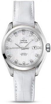 Omega Seamaster Aqua Terra Automatic Watch 158590T