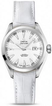 Omega Seamaster Aqua Terra Automatic Watch 158590U