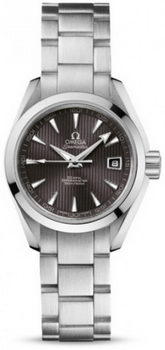 Omega Seamaster Aqua Terra Automatic Watch 158590Z