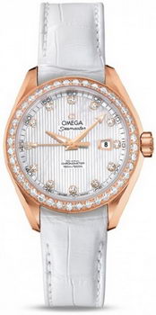 Omega Seamaster Aqua Terra Automatic Watch 158591A