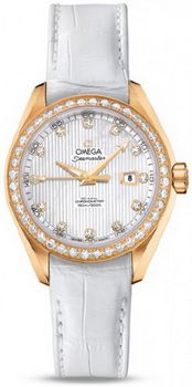 Omega Seamaster Aqua Terra Automatic Watch 158591B