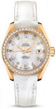 Omega Seamaster Aqua Terra Automatic Watch 158591C