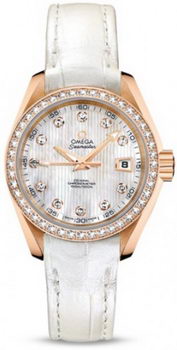 Omega Seamaster Aqua Terra Automatic Watch 158591D