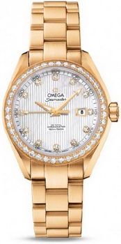 Omega Seamaster Aqua Terra Automatic Watch 158591F