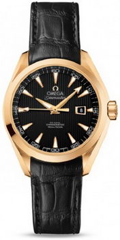 Omega Seamaster Aqua Terra Automatic Watch 158591J