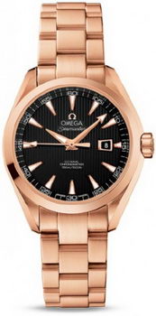 Omega Seamaster Aqua Terra Automatic Watch 158591K