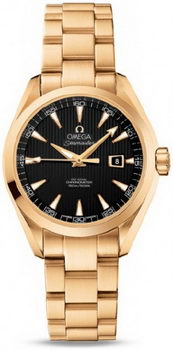 Omega Seamaster Aqua Terra Automatic Watch 158591L