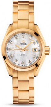 Omega Seamaster Aqua Terra Automatic Watch 158591M