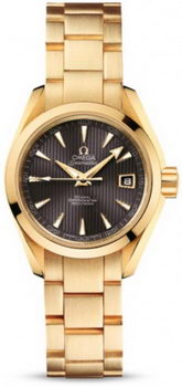 Omega Seamaster Aqua Terra Automatic Watch 158591N