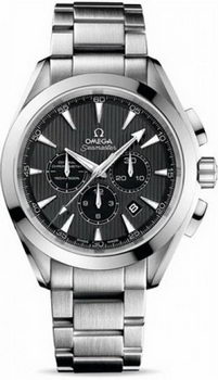 Omega Seamaster Aqua Terra Chronometer Watch 158592AE