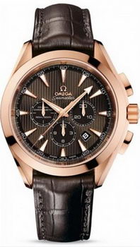 Omega Seamaster Aqua Terra Chronometer Watch 158592N