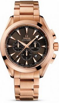 Omega Seamaster Aqua Terra Chronometer Watch 158592Q