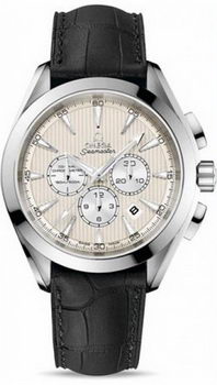 Omega Seamaster Aqua Terra Chronometer Watch 158592W