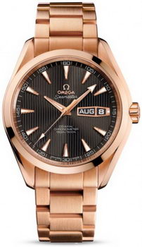 Omega Seamaster Aqua Terra Annual Calendar Watch 158589B