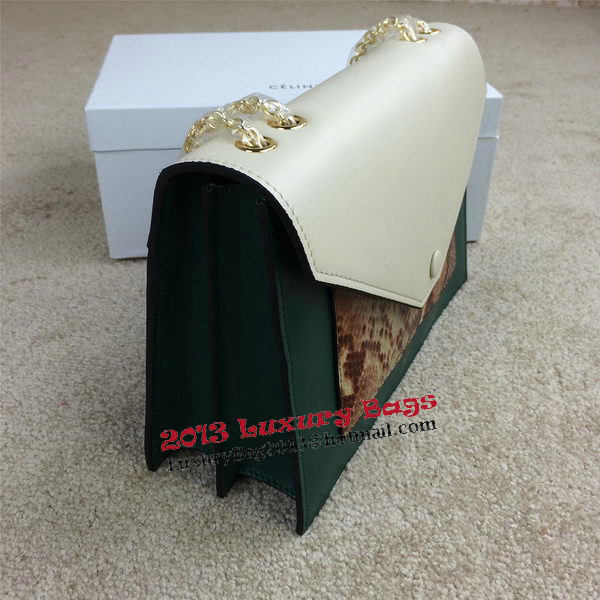 Celine Pocket Handbag Seashell Snake Leather 175383 Green&Brown&White