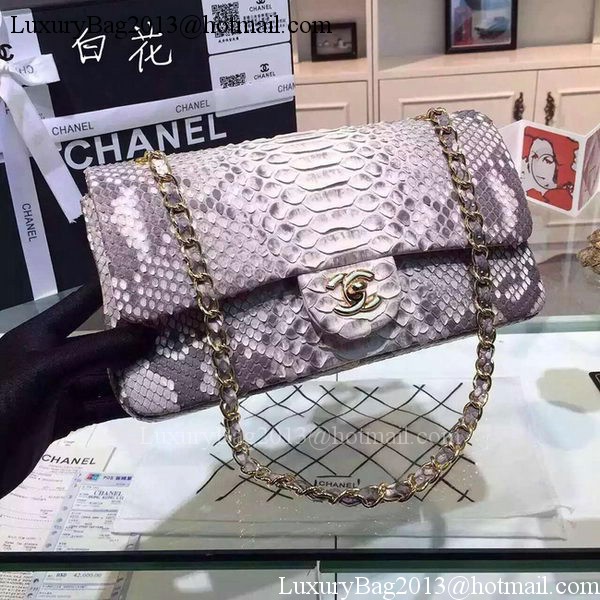 Chanel 2.55 Series Flap Bags Grey Original Python Leather A1112SA Gold