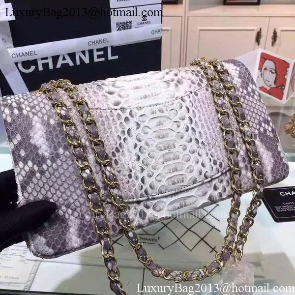 Chanel 2.55 Series Flap Bags Grey Original Python Leather A1112SA Gold