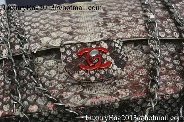 Chanel 2.55 Series Flap Bags Grey Original Python Leather A1112SA Silver