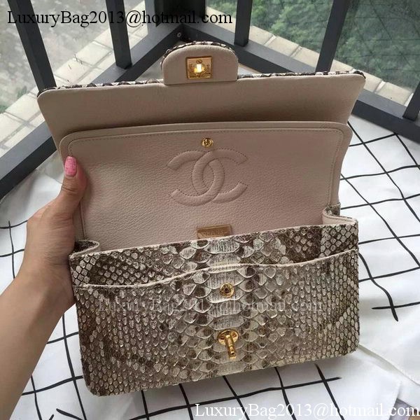 Chanel 2.55 Series Flap Bags OffWhite Original Python Leather A1112SA Gold