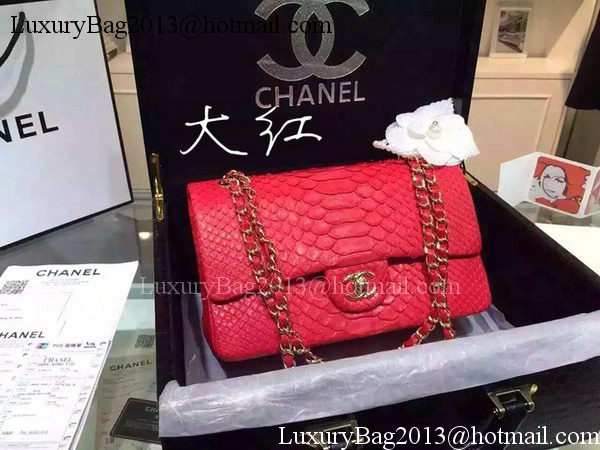 Chanel 2.55 Series Flap Bags Red Original Python Leather A1112SA Gold