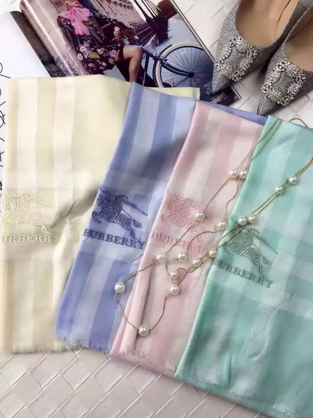 BurBerry Scarf BU17071707