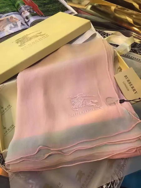 BurBerry Scarf BU17071714