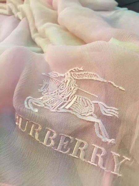 BurBerry Scarf BU17071715