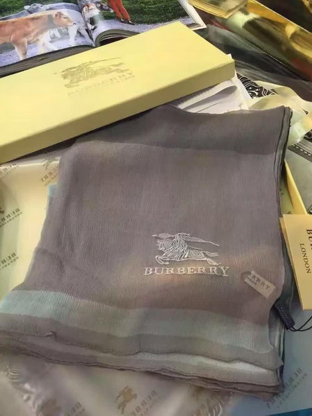 BurBerry Scarf BU17071716