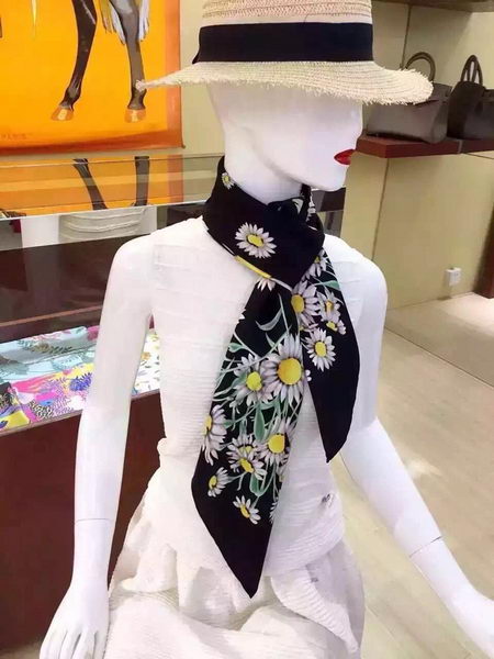 Dolce & Gabbana Scarf DG16071701