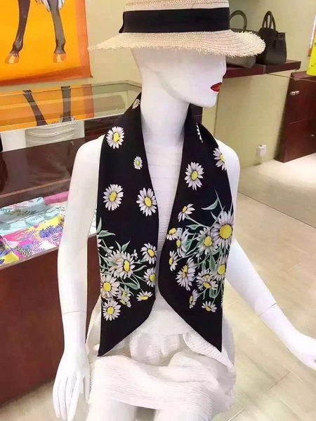 Dolce & Gabbana Scarf DG16071701