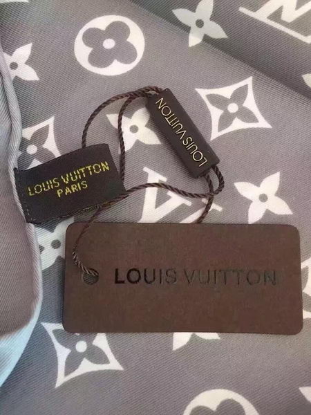 Louis Vuitton Scarf LVS16071707