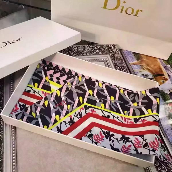 Dior Scarf CD2257