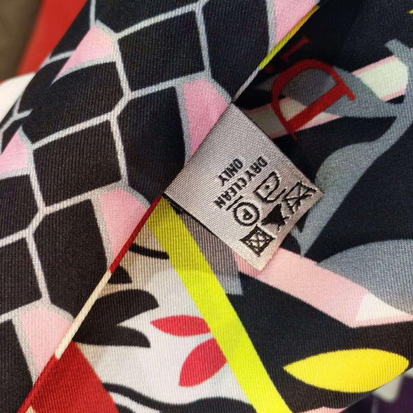 Dior Scarf CD2257