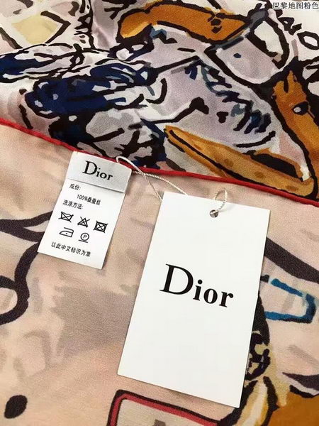 Dior Scarf CD2258