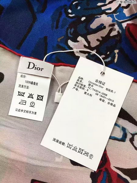 Dior Scarf CD2260