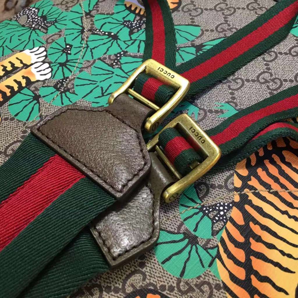 Gucci GG Canvas Backpack 427041