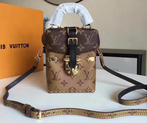 Louis Vuitton Monogram Canvas CAMERA BOX M42999