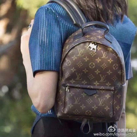 Louis Vuitton Monogram Canvas PALM SPRINGS BACKPACK MM M41561