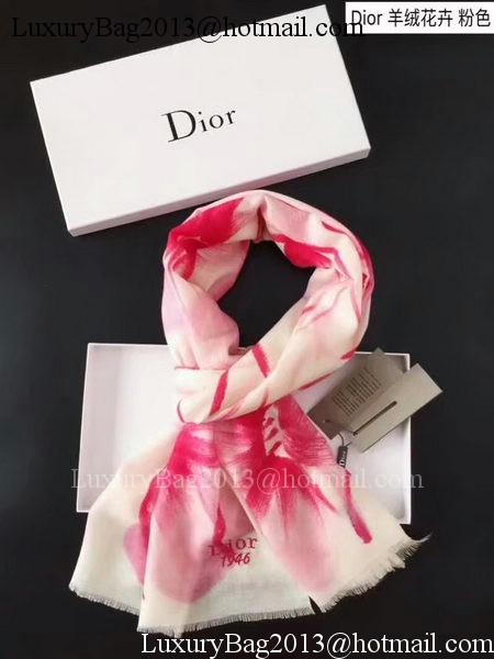 Dior Cashmere Scarf CD919468A